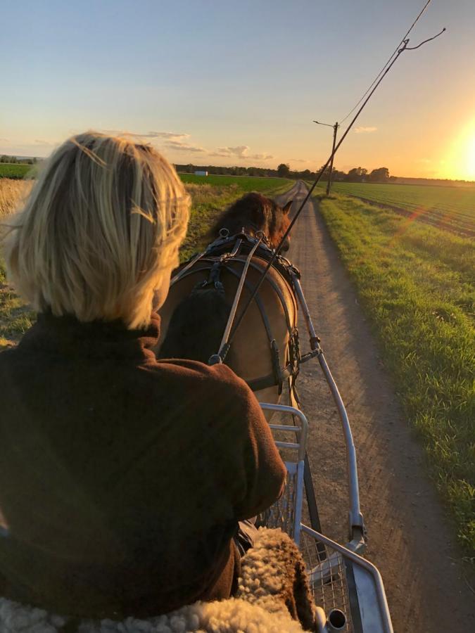 Lilla Sandslaett Åhus エクステリア 写真